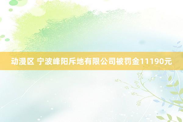 动漫区 宁波峰阳斥地有限公司被罚金11190元