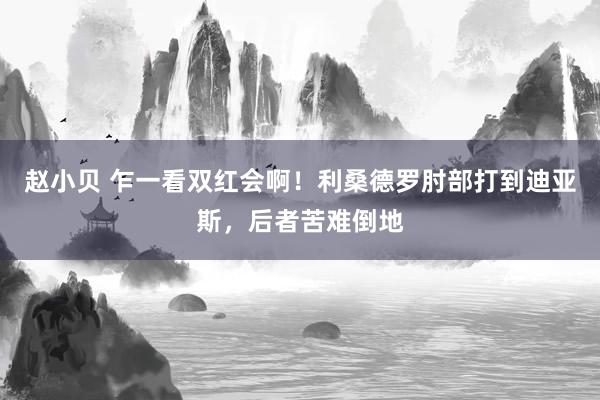 赵小贝 乍一看双红会啊！利桑德罗肘部打到迪亚斯，后者苦难倒地