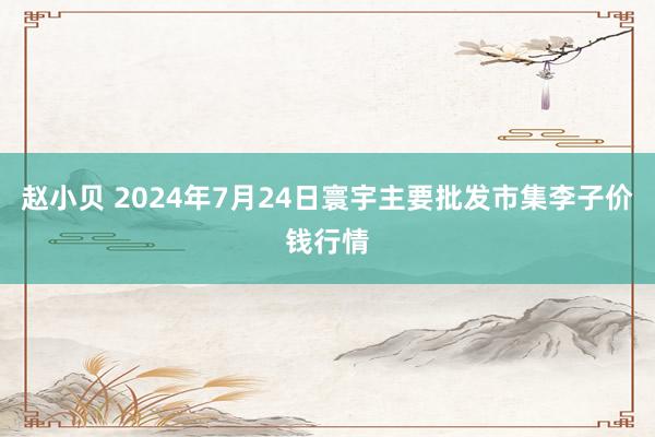 赵小贝 2024年7月24日寰宇主要批发市集李子价钱行情