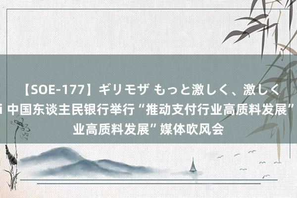 【SOE-177】ギリモザ もっと激しく、激しく突いて Ami 中国东谈主民银行举行“推动支付行业高质料发展”媒体吹风会