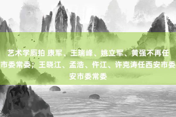 艺术学厕拍 康军、王瑞峰、姚立军、黄强不再任西安市委常委；王晓江、孟浩、仵江、许克涛任西安市委常委