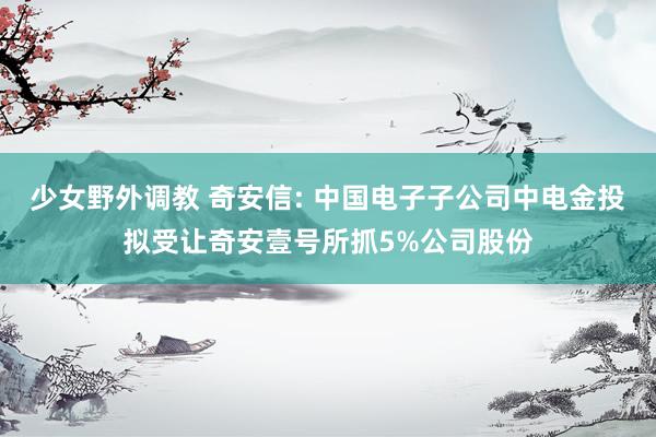 少女野外调教 奇安信: 中国电子子公司中电金投拟受让奇安壹号所抓5%公司股份