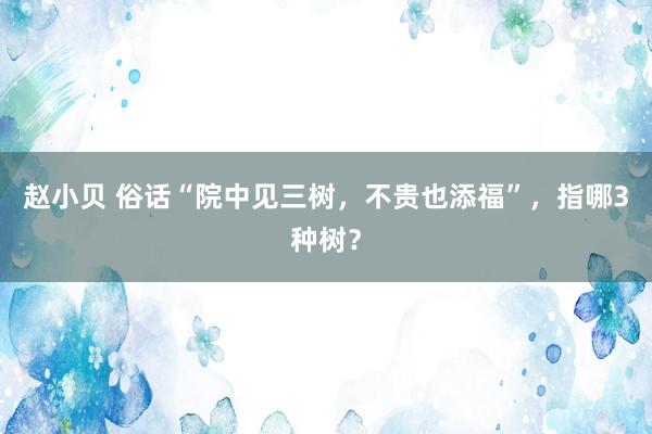 赵小贝 俗话“院中见三树，不贵也添福”，指哪3种树？