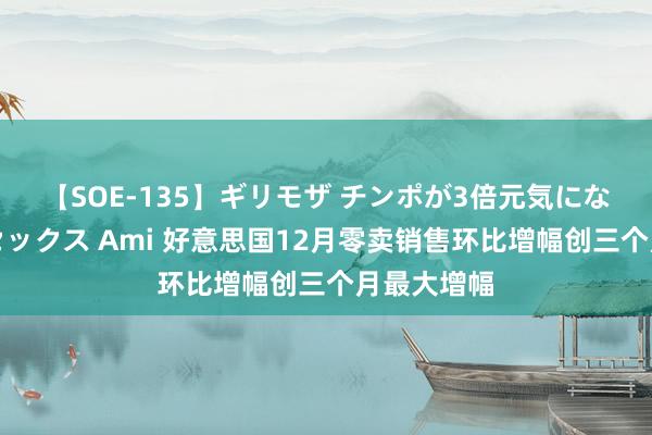 【SOE-135】ギリモザ チンポが3倍元気になる励ましセックス Ami 好意思国12月零卖销售环比增幅创三个月最大增幅