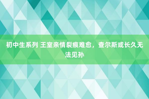 初中生系列 王室亲情裂痕难愈，查尔斯或长久无法见孙