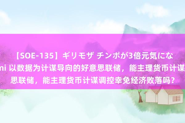 【SOE-135】ギリモザ チンポが3倍元気になる励ましセックス Ami 以数据为计谋导向的好意思联储，能主理货币计谋调控幸免经济败落吗？