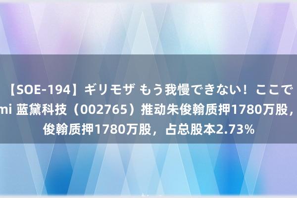 【SOE-194】ギリモザ もう我慢できない！ここでエッチしよっ Ami 蓝黛科技（002765）推动朱俊翰质押1780万股，占总股本2.73%