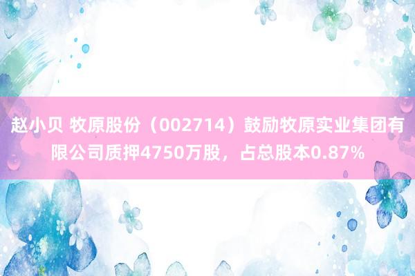 赵小贝 牧原股份（002714）鼓励牧原实业集团有限公司质押4750万股，占总股本0.87%