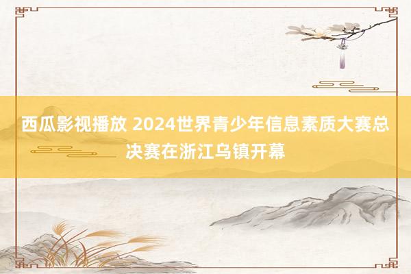 西瓜影视播放 2024世界青少年信息素质大赛总决赛在浙江乌镇开幕