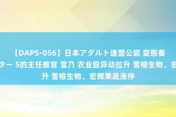 【DAPS-056】日本アダルト連盟公認 変態養成教育センター S的主任教官 雪乃 农业股异动拉升 雪榕生物、宏辉果蔬涨停