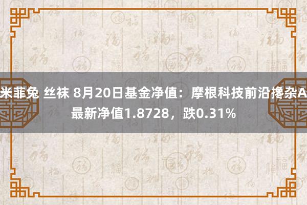 米菲兔 丝袜 8月20日基金净值：摩根科技前沿搀杂A最新净值1.8728，跌0.31%