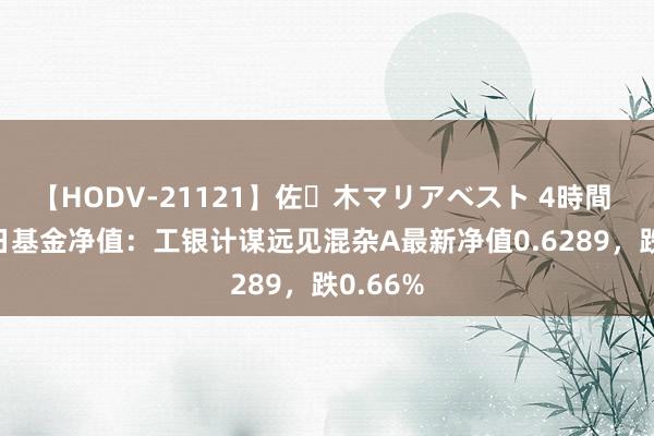 【HODV-21121】佐々木マリアベスト 4時間 8月20日基金净值：工银计谋远见混杂A最新净值0.6289，跌0.66%