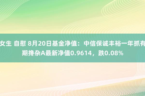 女生 自慰 8月20日基金净值：中信保诚丰裕一年抓有期搀杂A最新净值0.9614，跌0.08%