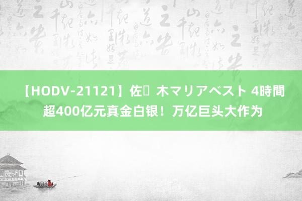 【HODV-21121】佐々木マリアベスト 4時間 超400亿元真金白银！万亿巨头大作为