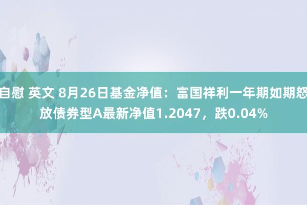 自慰 英文 8月26日基金净值：富国祥利一年期如期怒放债券型A最新净值1.2047，跌0.04%