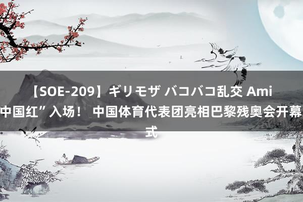 【SOE-209】ギリモザ バコバコ乱交 Ami “中国红”入场！ 中国体育代表团亮相巴黎残奥会开幕式