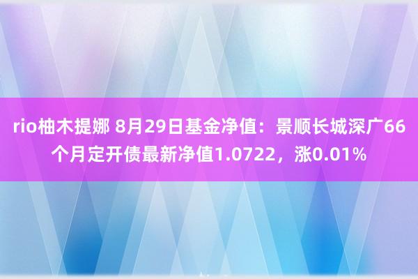 rio柚木提娜 8月29日基金净值：景顺长城深广66个月定开债最新净值1.0722，涨0.01%