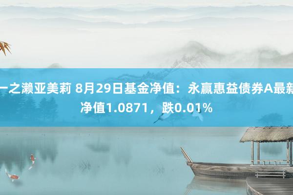 一之濑亚美莉 8月29日基金净值：永赢惠益债券A最新净值1.0871，跌0.01%