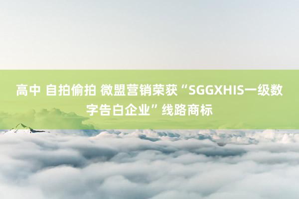 高中 自拍偷拍 微盟营销荣获“SGGXHIS一级数字告白企业”线路商标