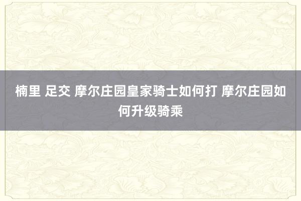 楠里 足交 摩尔庄园皇家骑士如何打 摩尔庄园如何升级骑乘