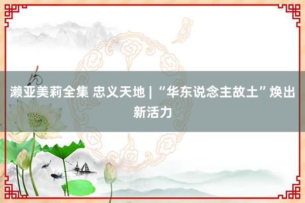 濑亚美莉全集 忠义天地 | “华东说念主故土”焕出新活力