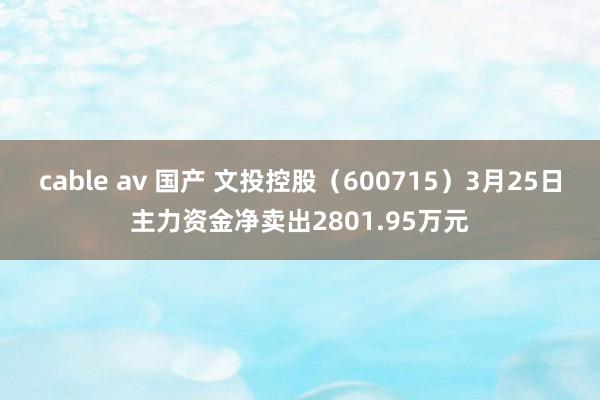 cable av 国产 文投控股（600715）3月25日主力资金净卖出2801.95万元