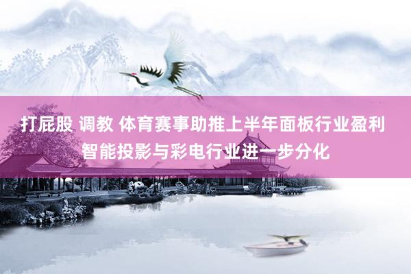 打屁股 调教 体育赛事助推上半年面板行业盈利 智能投影与彩电行业进一步分化